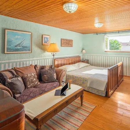 Pet Friendly In With House Sea View