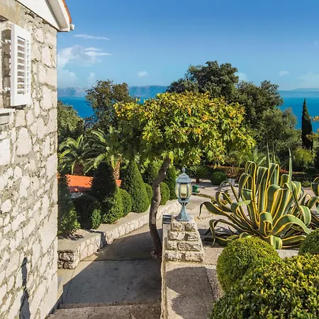 Pet Friendly In With House Sea View Ravni